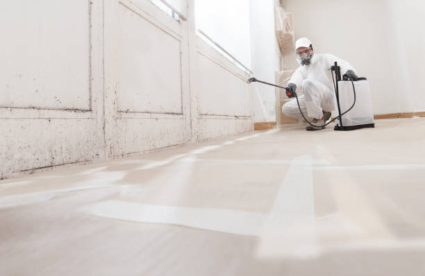24/7 Emergency Mold Removal experts in California, PA
